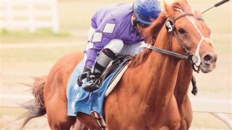edmonton horse races|Century Mile Entries & Results .